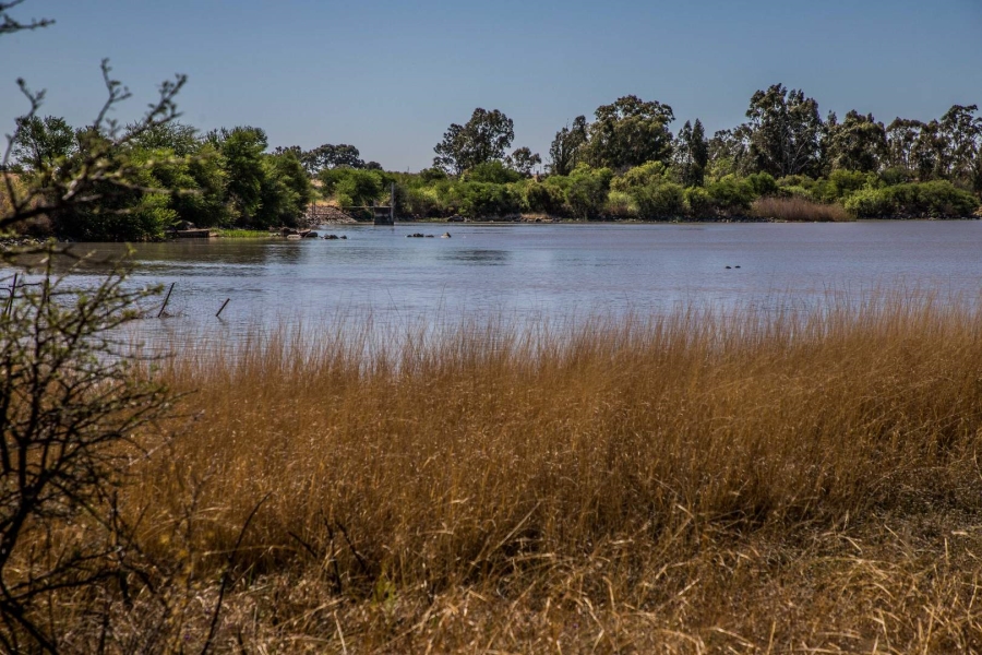 Commercial Property for Sale in Koppies Free State